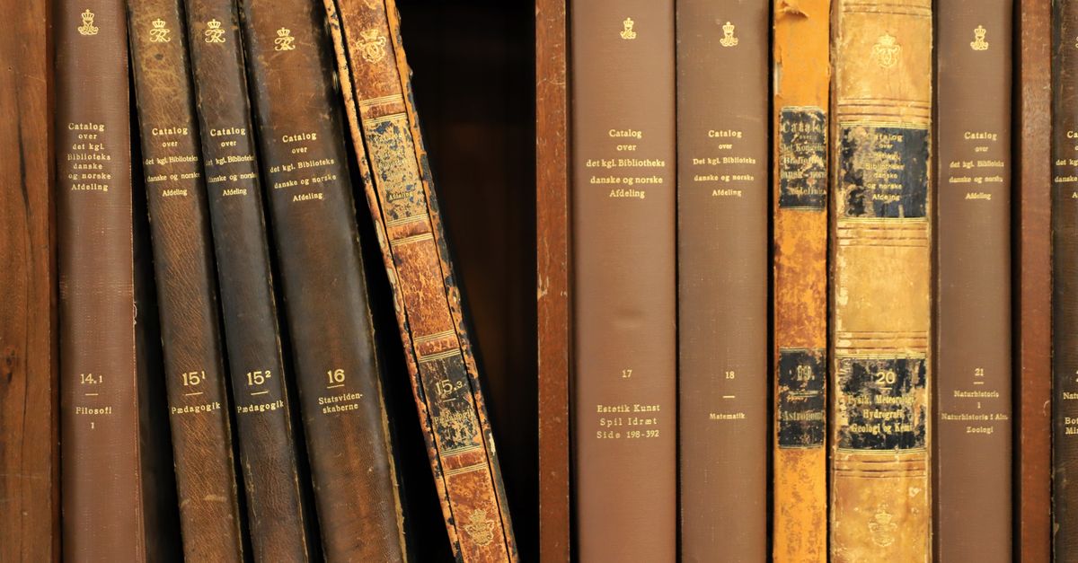 Row of antique books in a Copenhagen library, showcasing historical volumes.
